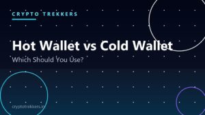Read more about the article Hot Wallet vs Cold Wallet: Which Should You Use in 2026?