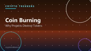 Read more about the article What Is Coin Burning? Why Crypto Projects Destroy Their Own Tokens